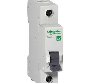 Schneider 1×16 A Automatic Fuse